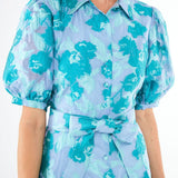 Abbey Glass Dress Charlotte Gown Mint Rose Vine Organza