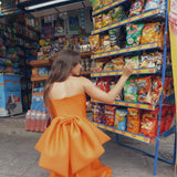 Ashley Stambouli dress Camelia Gown