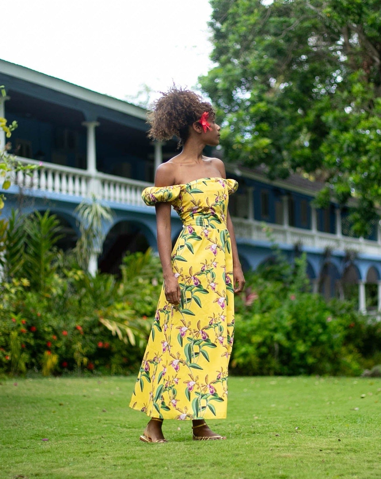 Damaris Bailey Dress Angelia
