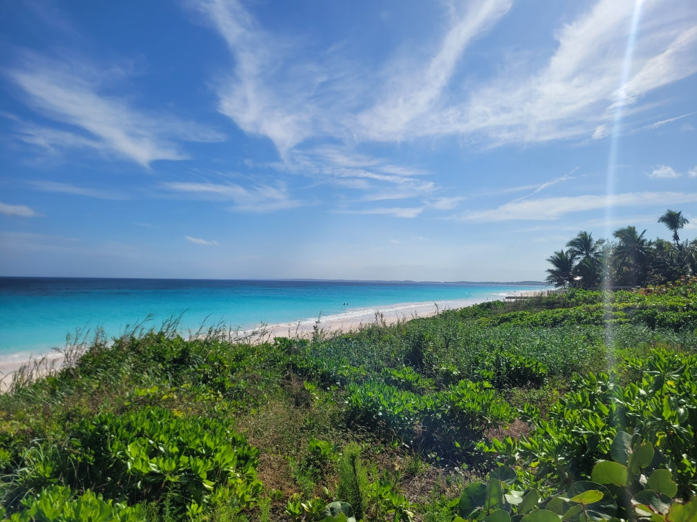 Pink Sands Beach Harbour Island