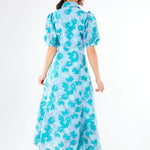 Abbey Glass Dress Charlotte Gown Mint Rose Vine Organza