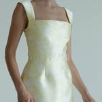 Damaris Bailey dresses Danica Gown
