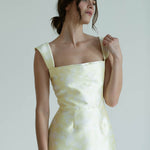 Damaris Bailey dresses Danica Gown