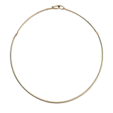 Golden Collar Necklace