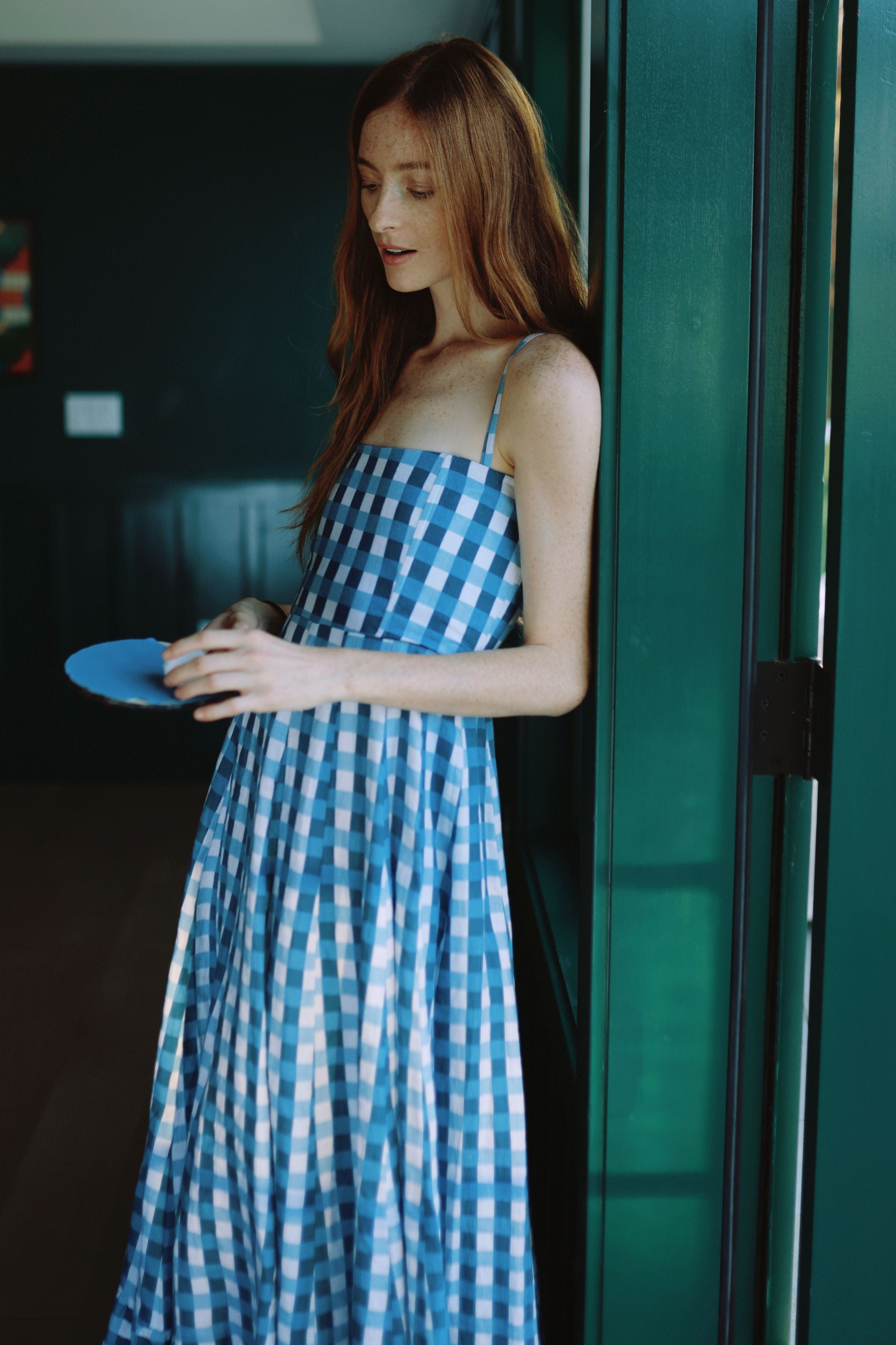 Louise New York Dresses Allegra Dress in Cape Gingham