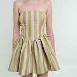 Roxanne Mini Dress in Sage Stripe