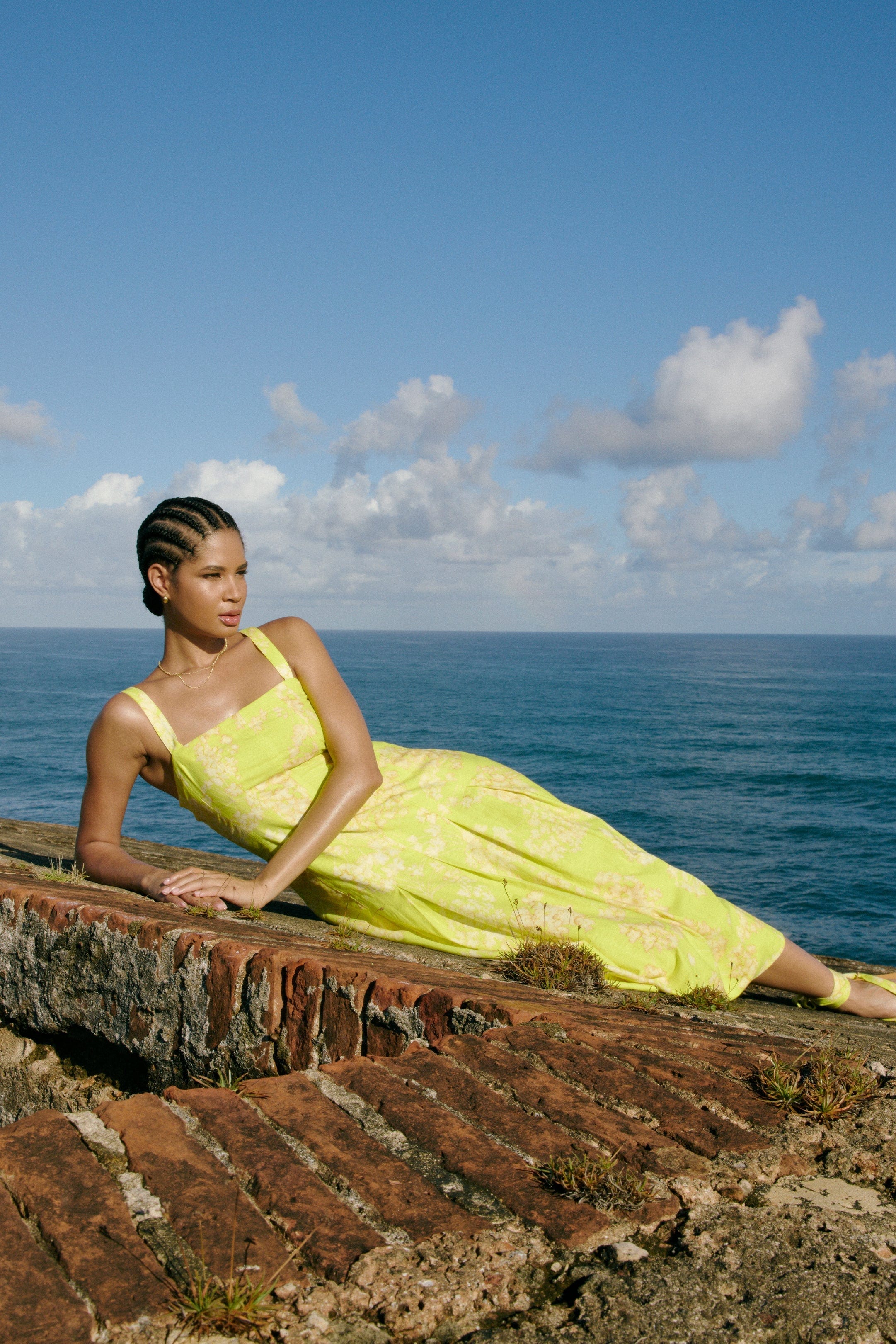 Marie Oliver Dress Dixon Dress