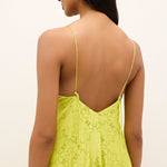 Marie Oliver Dress Levine Dress