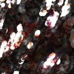 Marie Oliver SKIRTS-MAXI-WOVEN-NOVELTY ODESSA SKIRT