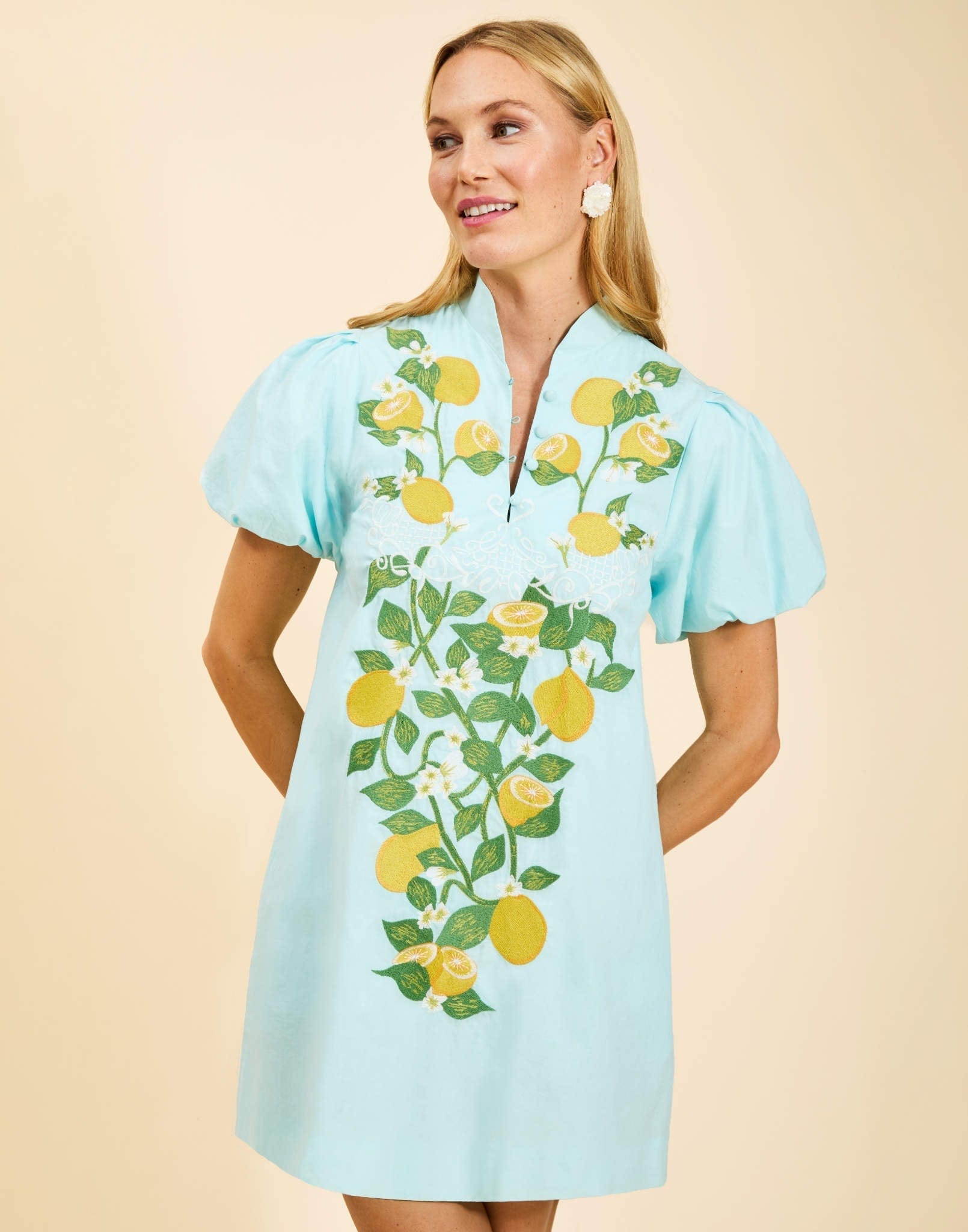 MESTIZA NEW YORK Daytime Elliana Barong Mini Dress