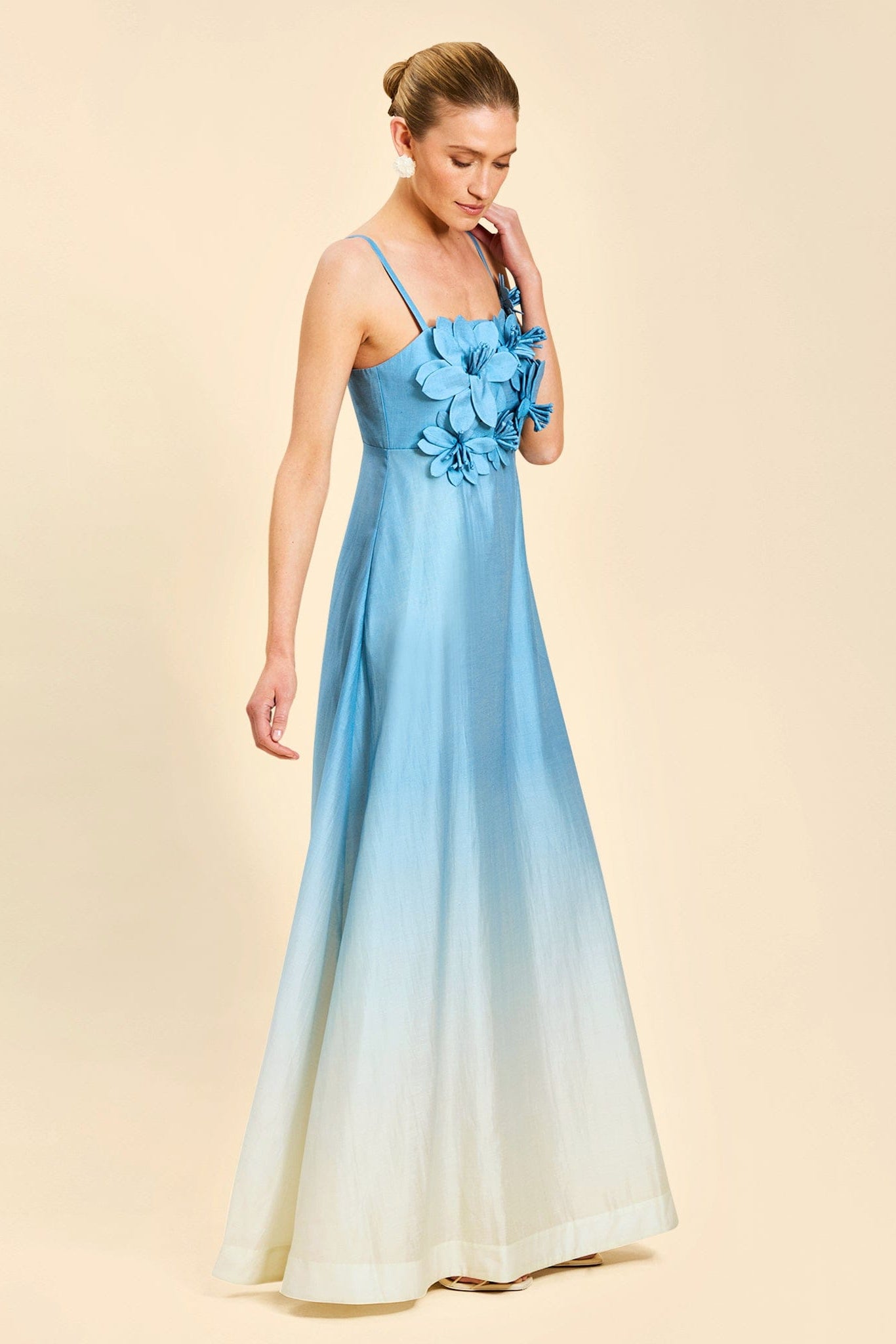 MESTIZA NEW YORK Evening Esperanza Gown