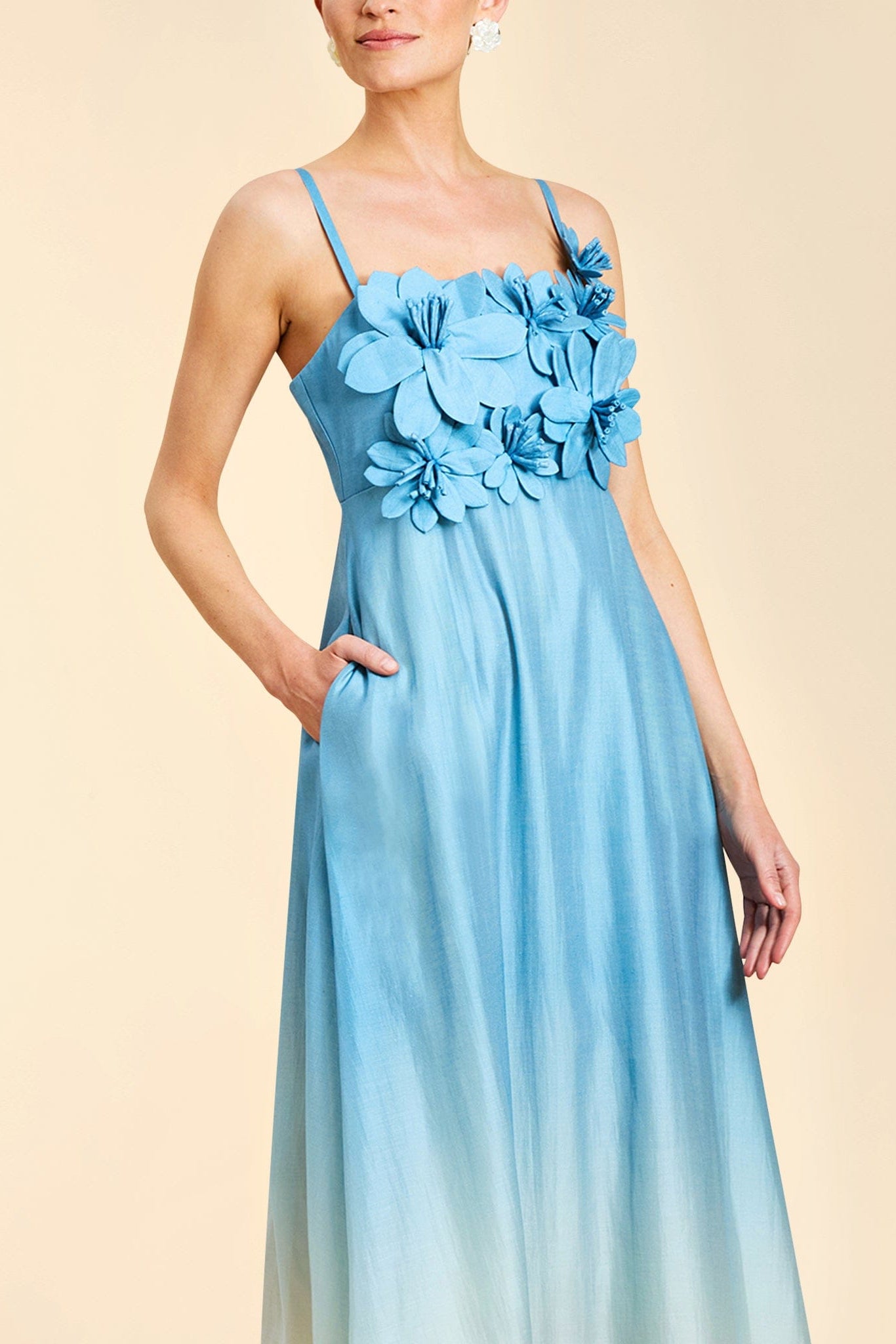 MESTIZA NEW YORK Evening Esperanza Gown