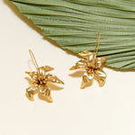 Mignonne Gavigan Earrings Gold Claire Drop Earrings Gold