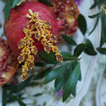 Nicola Bathie Jewelry earrings Pomegranate Vines